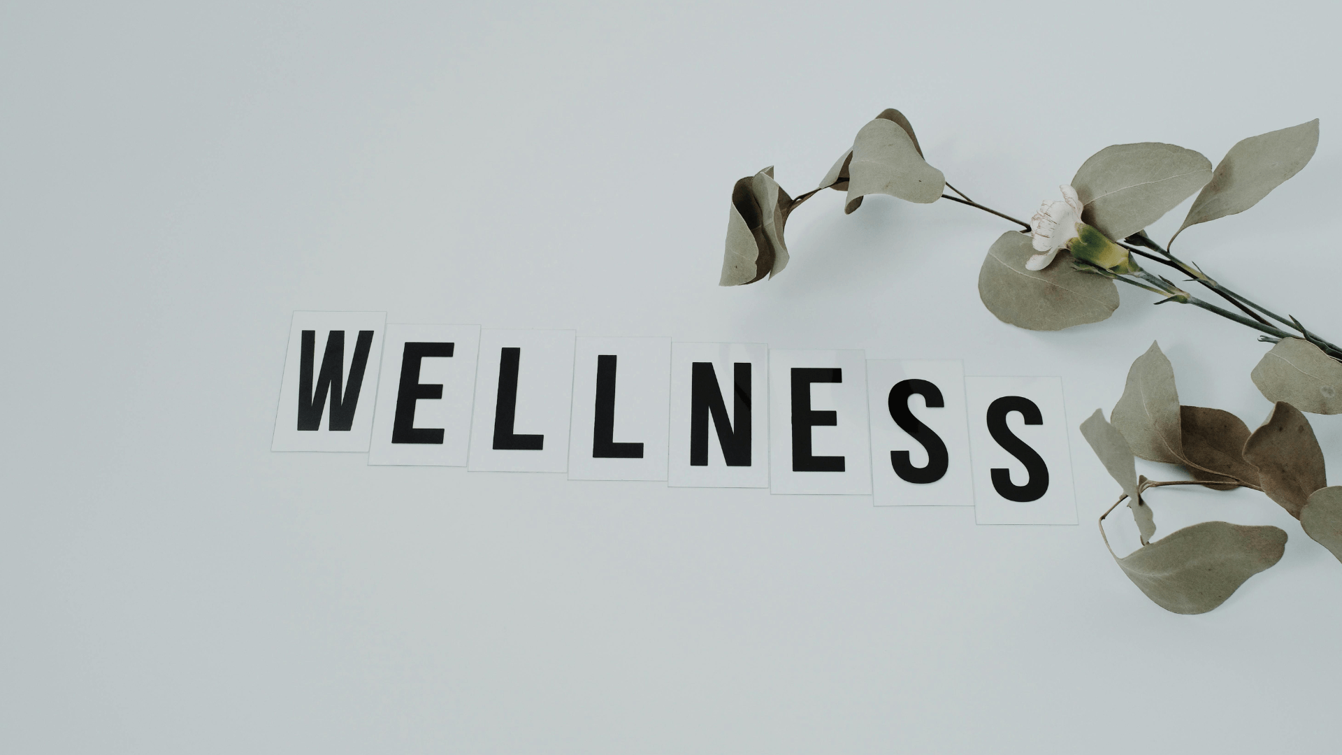 Wellness for Athletes