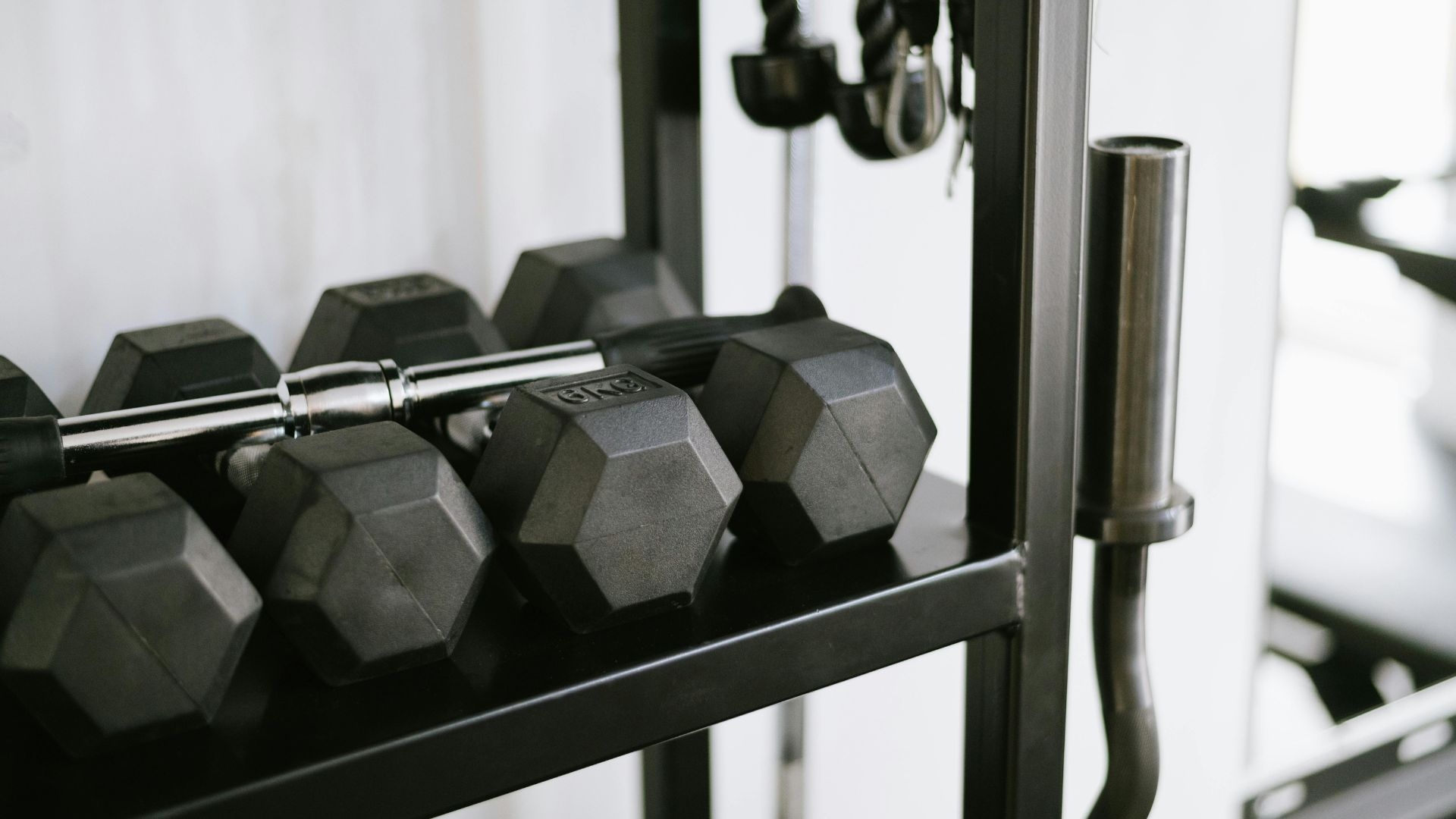 History of Gyms: How Training Became a Global Fitness Phenomenon