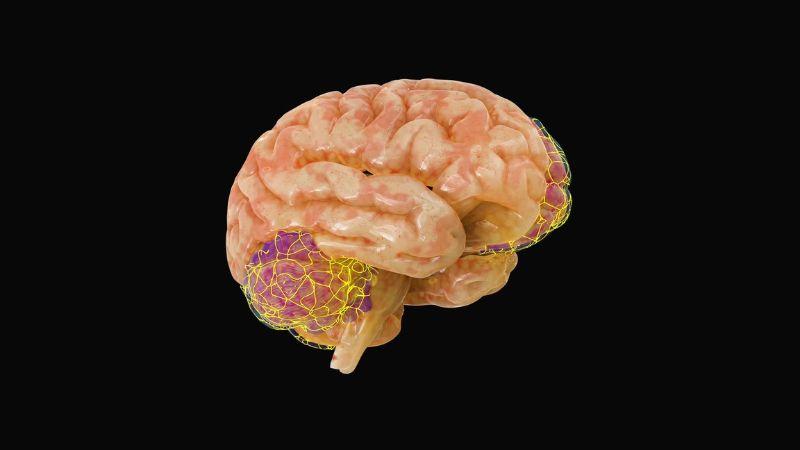 Substance Abuse: Effects of Drugs and Alcohol on an Athlete's Brain and Career