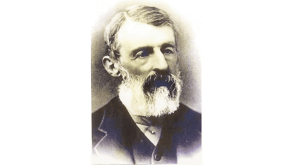 Baseball History: A Journey Through its Surprising Legacy | ISNation ...