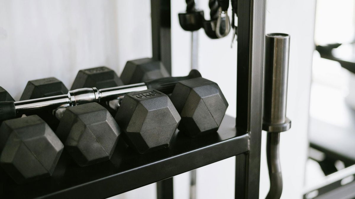 History of Gyms: How Training Became a Global Fitness Phenomenon